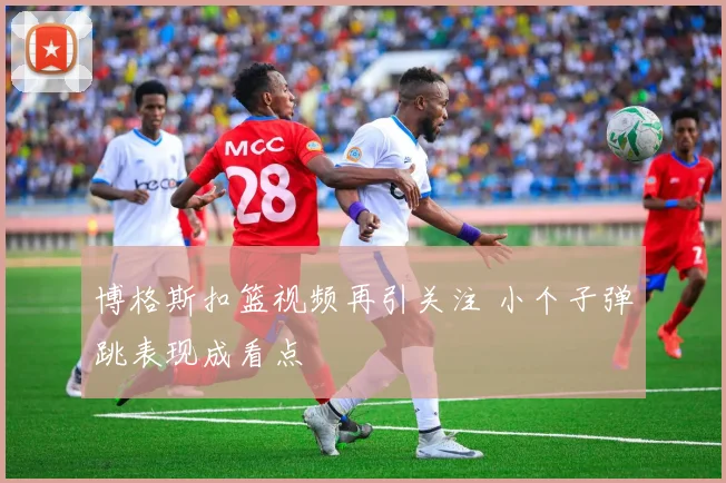 博格斯扣篮视频再引关注 小个子弹跳表现成看点