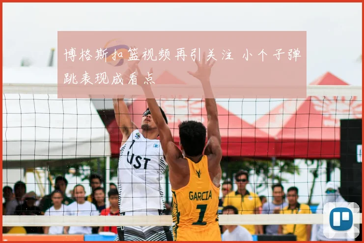 博格斯扣篮视频再引关注 小个子弹跳表现成看点