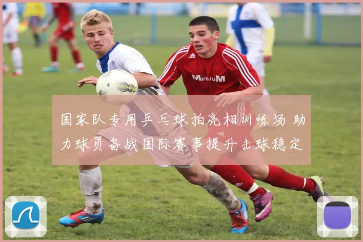 国家队专用乒乓球拍亮相训练场 助力球员备战国际赛事提升击球稳定性