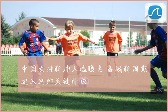 中国女排新帅人选曝光 备战新周期进入选帅关键阶段