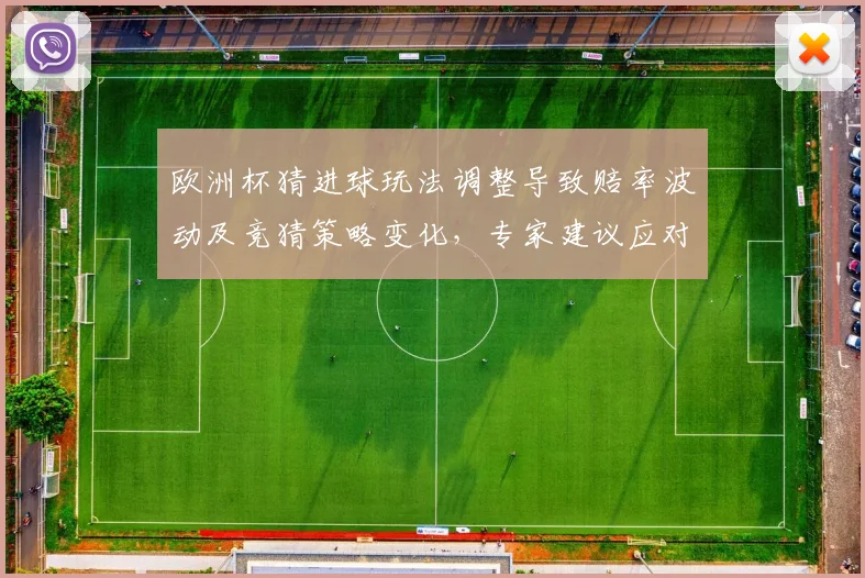 欧洲杯猜进球玩法调整导致赔率波动及竞猜策略变化，专家建议应对