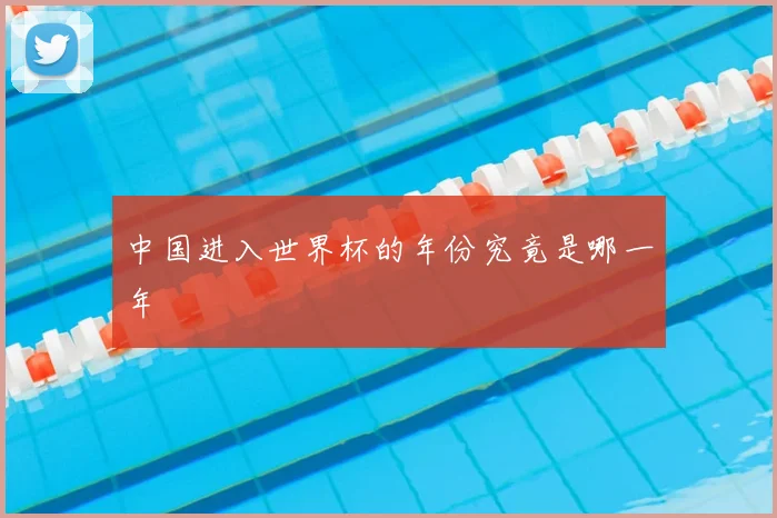 中国进入世界杯的年份究竟是哪一年