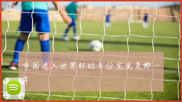 中国进入世界杯的年份究竟是哪一年